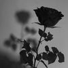 fadz_latiff