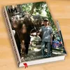 thangthanglangtu