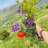 fidan__rzayeva