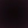 shahar.shin