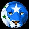 macabsadeh_