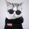 pro100_chelovek_100