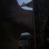 aaunpp1234