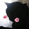 czikita.seniorita