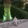 userj7e23cyul9