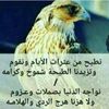 user9017325436053
