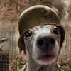 dawnpwr