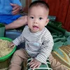 vucuong0811