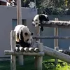 ru.bo.n
