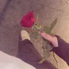 ياغرامو