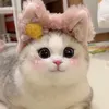 cam_0804