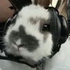 bnyjam
