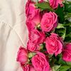 salma.fathi11
