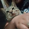 tinkerbelle96_