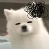 ihnn_01