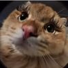livthefoxy