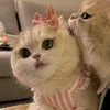 elm.mer9