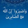 1234ali132