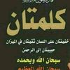 yahiagh8