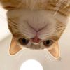 catgakgak12345