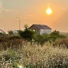 sunset_2k