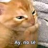 polataquitos