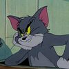 officaltomthecat