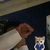 .qq744