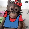 giannisthegoat32