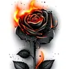 rhozzy08