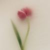 qyueenfii_