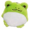 stephlikesfrogs