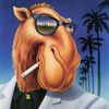 .cameljoe