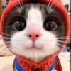 01adanali_kiz