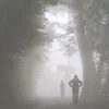 yahohoi112234