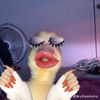macauu8