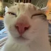 abcxyz_tn07