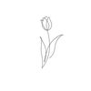 shoog_1415