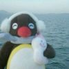 _choco_cips_8