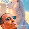 haboonmohamed12