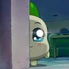 chipcheapchib