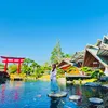 lamnhu_01091210