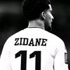 ziadzied8