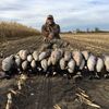 goose_talk