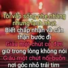 hoadoan96