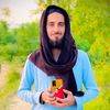 guliwazir3