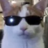 lowkeygoodlooking