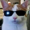 homosapiano1