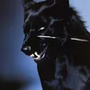 tr_bakr01