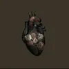 omerbotany0